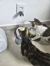 Foto del cliente